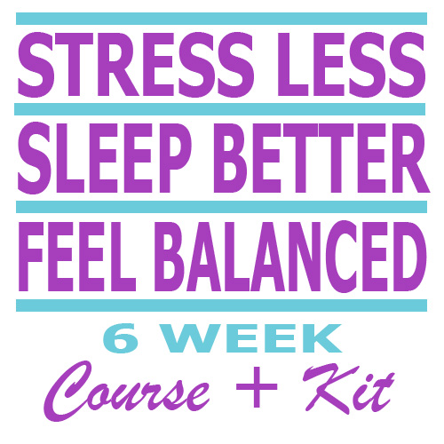 stress-less-course-kit-REVISION Stress Recovery Course Online
