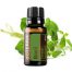 Basil Essential Oil