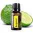 Bergamot Essential Oil