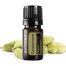 Cardamom Essential Oil