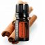 Cinnamon Essential Oil