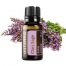 Clary Sage Essential Oil
