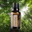 Copaiba Essential Oil
