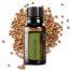 Coriander Essential Oil