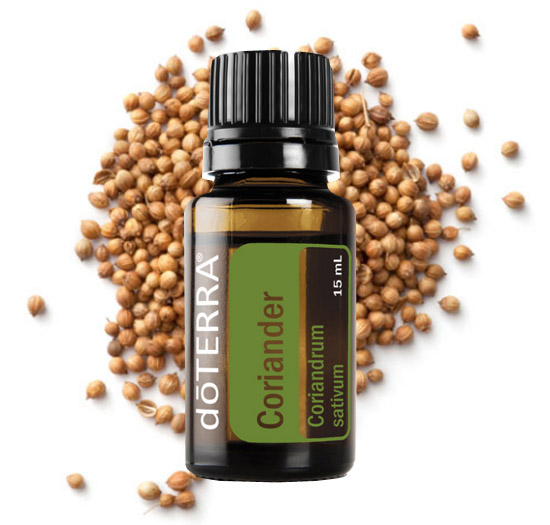 Coriander Essential Oil Essential Oils Integrative Aromatherapy