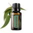 Eucalyptus Essential Oil