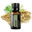 Fennel Essential Oil