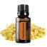 Frankincense Essential Oil