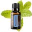 Peppermint Essential Oil