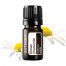Roman Chamomile Essential Oil