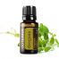 Oregano Essential Oil